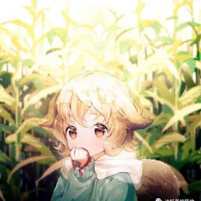 8省全省推行春秋假