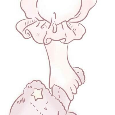 埃及一航班行李全部丢失
